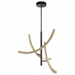 Люстра на штанге Maytoni Wabi MOD428PL-L27BK в Салехарде - salekhard.ok-mebel.com | фото