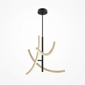 Люстра на штанге Maytoni Wabi MOD428PL-L27BK в Салехарде - salekhard.ok-mebel.com | фото 5