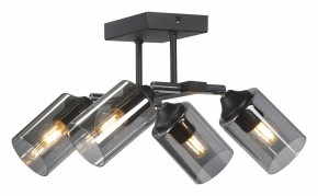 Люстра на штанге Vitaluce V2833 V2833-1/4PL в Салехарде - salekhard.ok-mebel.com | фото