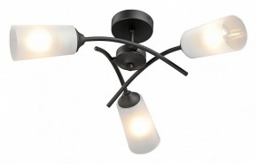 Люстра на штанге Vitaluce V2850 V2850-1/3PL в Салехарде - salekhard.ok-mebel.com | фото 2