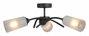 Люстра на штанге Vitaluce V2850 V2850-1/3PL в Салехарде - salekhard.ok-mebel.com | фото 3