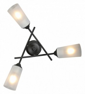 Люстра на штанге Vitaluce V2850 V2850-1/3PL в Салехарде - salekhard.ok-mebel.com | фото 4
