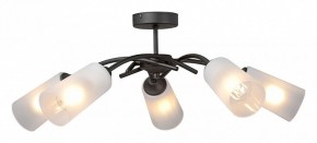 Люстра на штанге Vitaluce V2850 V2850-1/5PL в Салехарде - salekhard.ok-mebel.com | фото