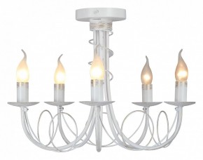 Люстра на штанге Vitaluce V3035 V3035-0/5PL в Салехарде - salekhard.ok-mebel.com | фото 2