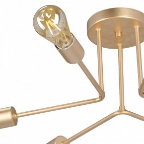 Люстра на штанге Vitaluce V3071 V3071-8/6PL в Салехарде - salekhard.ok-mebel.com | фото 6