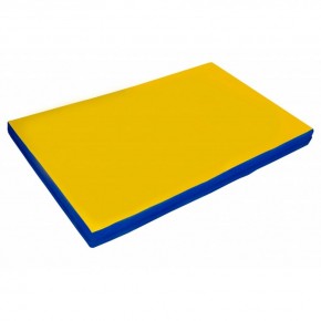 Мат гимнастический 2х1х0,05м цв. синий-желтый в Салехарде - salekhard.ok-mebel.com | фото 1