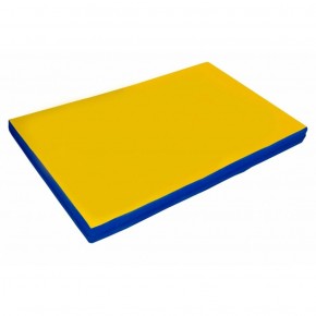 Мат гимнастический, прямоугольный. Длина 2 м, ширина 1 м, толщина 8 см синий-желтый   в Салехарде - salekhard.ok-mebel.com | фото