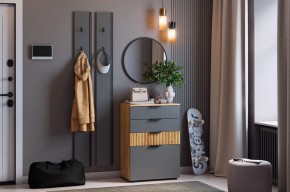 МЕБЕЛЬСОН К21 Прихожая в Салехарде - salekhard.ok-mebel.com | фото 2