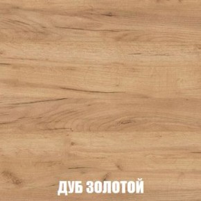 МСП-1 Шкаф 2-х створчатый (Дуб Золотой/Камень темный) в Салехарде - salekhard.ok-mebel.com | фото 4