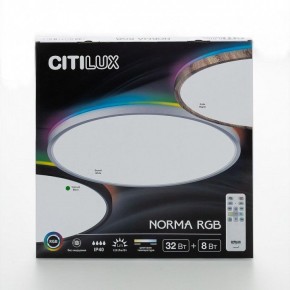 Накладной светильник Citilux NORMA CL749401 в Салехарде - salekhard.ok-mebel.com | фото 9