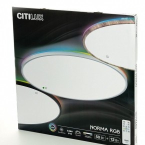 Накладной светильник Citilux NORMA CL749600 в Салехарде - salekhard.ok-mebel.com | фото 8