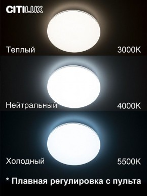 Накладной светильник Citilux Симпла CL714330G в Салехарде - salekhard.ok-mebel.com | фото 4