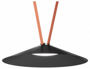 Накладной светильник Denkirs Belty Flow DK5568-BK в Салехарде - salekhard.ok-mebel.com | фото 2
