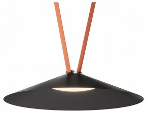 Накладной светильник Denkirs Belty Flow DK5569-BK в Салехарде - salekhard.ok-mebel.com | фото 2