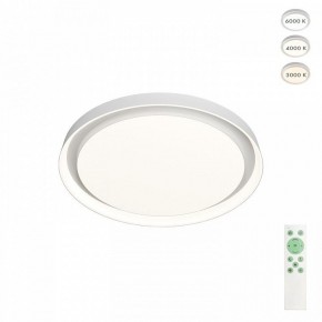 Накладной светильник Denkirs Cany DK6515-WH в Салехарде - salekhard.ok-mebel.com | фото 2