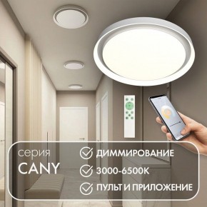 Накладной светильник Denkirs Cany DK6516-WH в Салехарде - salekhard.ok-mebel.com | фото 4