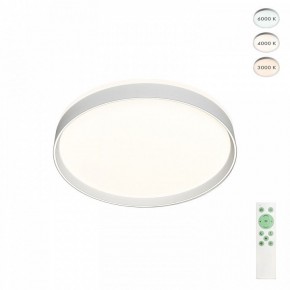 Накладной светильник Denkirs PLATO DK6511-WH/1 в Салехарде - salekhard.ok-mebel.com | фото 2