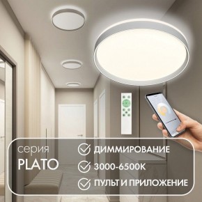 Накладной светильник Denkirs PLATO DK6511-WH/1 в Салехарде - salekhard.ok-mebel.com | фото 4