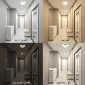 Накладной светильник Denkirs PLATO DK6511-WH/1 в Салехарде - salekhard.ok-mebel.com | фото 5