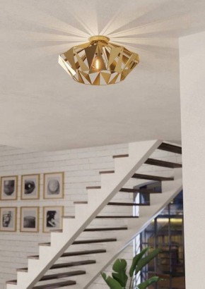 Накладной светильник Eglo Carlton 43908 в Салехарде - salekhard.ok-mebel.com | фото 3
