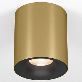 Накладной светильник Elektrostandard Primo 25116/LED в Салехарде - salekhard.ok-mebel.com | фото