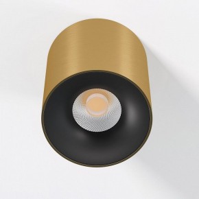 Накладной светильник Elektrostandard Primo 25116/LED в Салехарде - salekhard.ok-mebel.com | фото