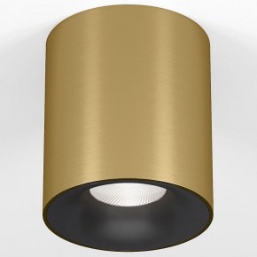 Накладной светильник Elektrostandard Primo 25116/LED в Салехарде - salekhard.ok-mebel.com | фото 2