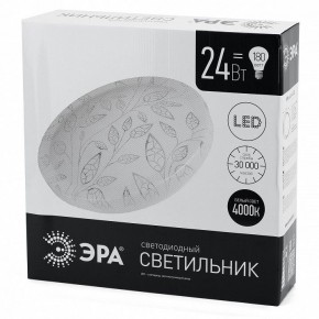 Накладной светильник Эра Классик SPB-6-24-4K (C) в Салехарде - salekhard.ok-mebel.com | фото 4