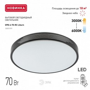 Накладной светильник Эра Классик SPB-6-70-RC Liburn в Салехарде - salekhard.ok-mebel.com | фото 10