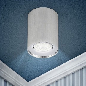 Накладной светильник Эра  OL1 GU10 SL/CH в Салехарде - salekhard.ok-mebel.com | фото 3