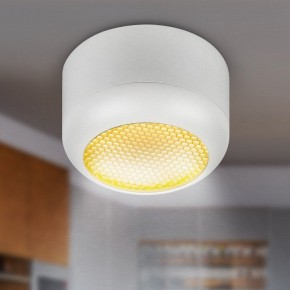 Накладной светильник Эра  OL56 WH в Салехарде - salekhard.ok-mebel.com | фото 8