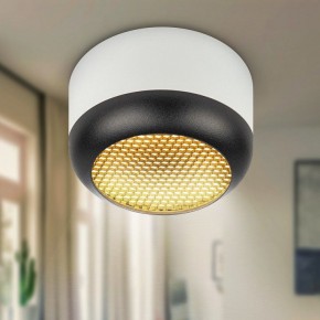 Накладной светильник Эра  OL56 WH/BK в Салехарде - salekhard.ok-mebel.com | фото 8
