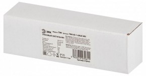 Накладной светильник Эра  TRM-S5-1-6W4K-WH в Салехарде - salekhard.ok-mebel.com | фото 6