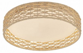 Накладной светильник F-promo Conrad 4749-4C в Салехарде - salekhard.ok-mebel.com | фото 2