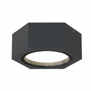 Накладной светильник Favourite Fantum 4667-1U в Салехарде - salekhard.ok-mebel.com | фото 2