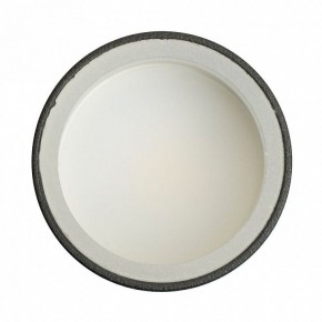 Накладной светильник Feron ML100 51369 в Салехарде - salekhard.ok-mebel.com | фото 8