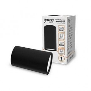 Накладной светильник Gauss Basic HD063 в Салехарде - salekhard.ok-mebel.com | фото 2