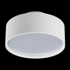 Накладной светильник Lightstar Acuto 215946 в Салехарде - salekhard.ok-mebel.com | фото 4