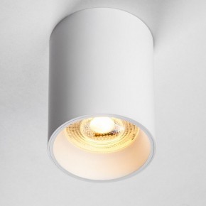 Накладной светильник Lightstar Rullo 213436 в Салехарде - salekhard.ok-mebel.com | фото 2