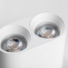 Накладной светильник Lightstar Rullo 213466 в Салехарде - salekhard.ok-mebel.com | фото 6