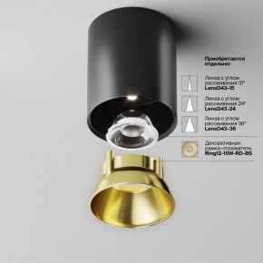 Накладной светильник Maytoni Alfa LED C064CL-12W4K-RD-B в Салехарде - salekhard.ok-mebel.com | фото 3