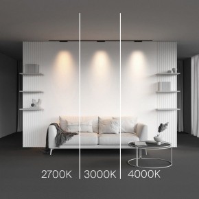 Накладной светильник Maytoni Points TR193-1-10W2.7K-M-B в Салехарде - salekhard.ok-mebel.com | фото 2