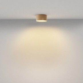 Накладной светильник Maytoni Zon C032CL-12W2.7K-RD-MG в Салехарде - salekhard.ok-mebel.com | фото 4