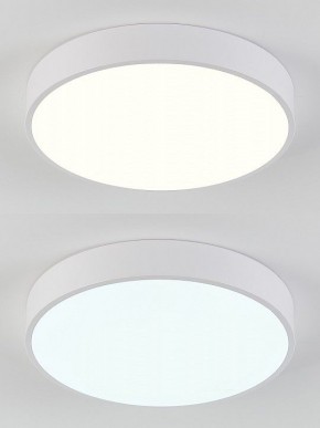 Накладной светильник Natali Kovaltseva  LED LAMPS 81111/5C в Салехарде - salekhard.ok-mebel.com | фото 4
