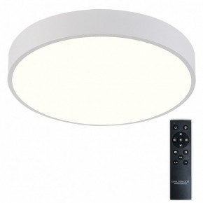 Накладной светильник Natali Kovaltseva  LED LAMPS 81112/5C в Салехарде - salekhard.ok-mebel.com | фото 2