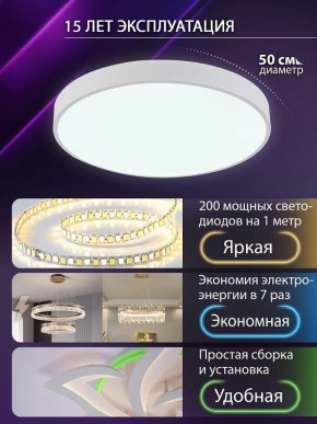 Накладной светильник Natali Kovaltseva  LED LAMPS 81112/5C в Салехарде - salekhard.ok-mebel.com | фото 4