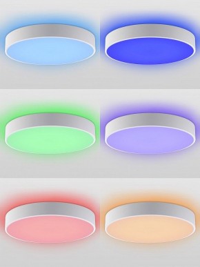 Накладной светильник Natali Kovaltseva MODERN LED LAMPS 81105/1C в Салехарде - salekhard.ok-mebel.com | фото 4
