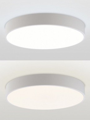 Накладной светильник Natali Kovaltseva MODERN LED LAMPS 81105/1C в Салехарде - salekhard.ok-mebel.com | фото 5
