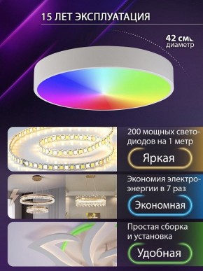 Накладной светильник Natali Kovaltseva MODERN LED LAMPS 81105/1C в Салехарде - salekhard.ok-mebel.com | фото 6