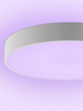 Накладной светильник Natali Kovaltseva MODERN LED LAMPS 81105/1C в Салехарде - salekhard.ok-mebel.com | фото 9